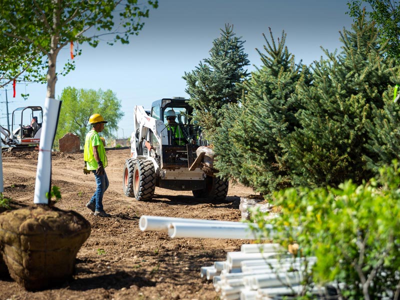 Commercial Landscaping Design Installation in Fort Collins, CO